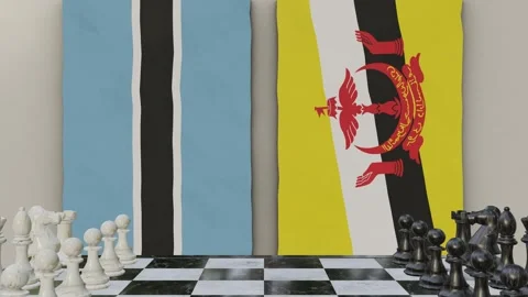 Botswana vs Brunei  at the chessboard. Stock Footage 257961940