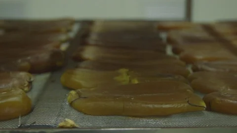 Bottarga on the tape for drying Stock Footage 71201663