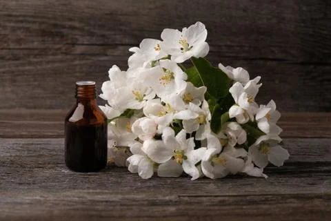 Bottle with apple tree flower extract on vintage wooden background, concept o Фото