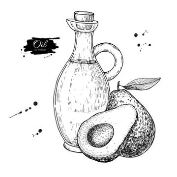 Bottle of avocado oil. Vector Hand drawn illustration. Glass pitcher vintage  Stock Illustration