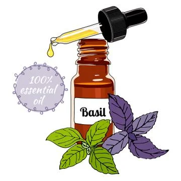 Bottle of Basil essential oil with dropper. Stock Illustration