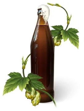 A bottle of beer and hops Stock Illustration