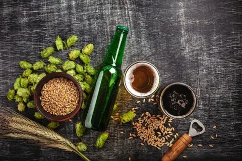 A bottle of beer with green hops, oat, wheat spikelets, opener and glasses wi Stock Photos