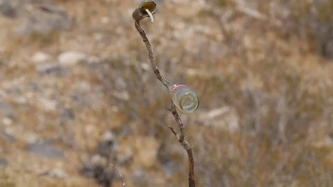 Bottle Breaking in slowmotion Stock Footage 82956499