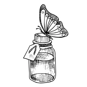 Bottle with butterfly. Hand drawn vector illustration of glass flacon with Stock Illustration