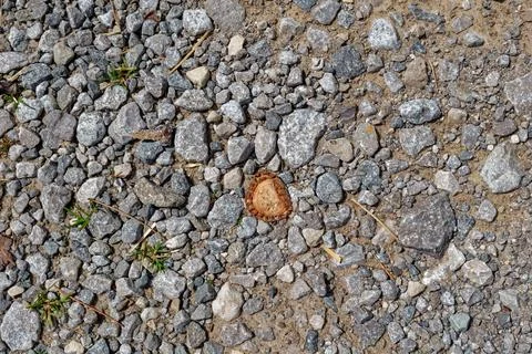Bottle cap crushed on the ground Stock Photos