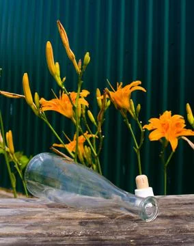 The bottle cap lies next to an empty alcohol bottle. Stock Photos
