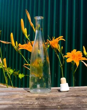 The bottle cap lies next to an empty alcohol bottle. Stock Photos