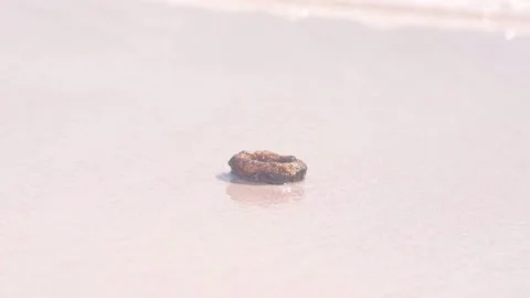 Bottle Cap Slow Motion Clip Stock Footage 135831130