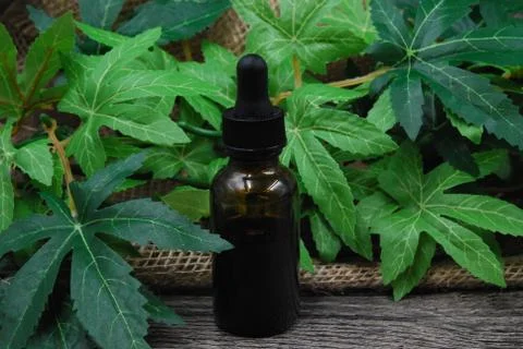 Bottle of CBD Oil in Leaves Stock Photos