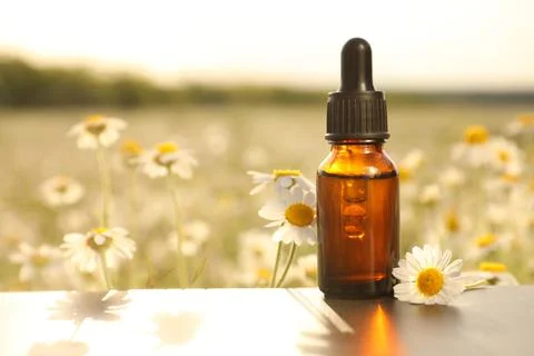 Bottle of chamomile essential oil on table in field. Space for text Stock Photos