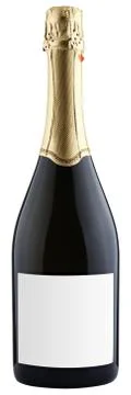 Bottle of champagne Stock Photos