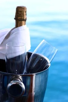 Bottle of champagne Stock Photos