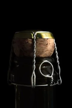 Bottle of champagne Stock Photos