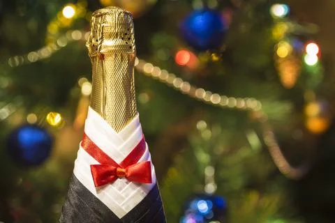 A bottle of champagne Stock Photos