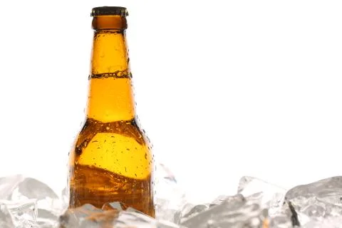 Bottle of cider in ice cubes. Close up. White background Stock Photos
