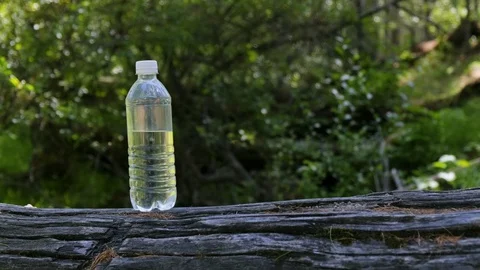A bottle of clear water stands on a log in a green forest on a sunny day Stock Footage 128137464