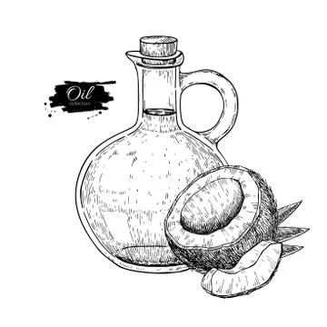 Bottle of coconut oil. Vector Hand drawn illustration. Cooking and beauty ing Stock Illustration