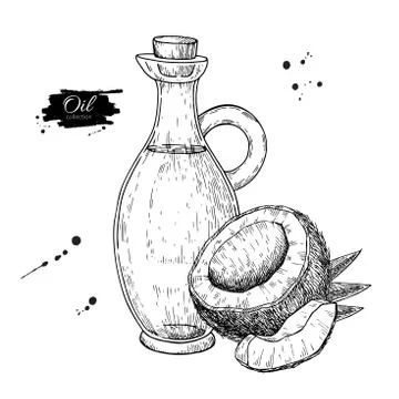 Bottle of coconut oil. Vector Hand drawn illustration. Cooking and beauty ing Stock Illustration