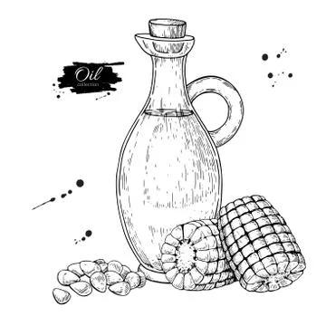 Bottle of corn cooking oil. Vector Hand drawn illustration. Glass pitcher vin Stock Illustration