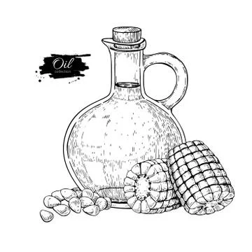 Bottle of corn cooking oil. Vector Hand drawn illustration. Glass pitcher vin Stock Illustration