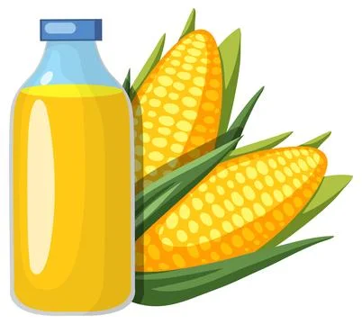 Bottle of Corn Oil with Fresh Corn Cobs Stock Illustration