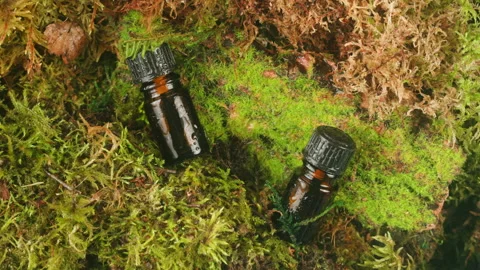 Bottle of cosmetics cream serum on moss forest background green leaves. Woman Stock Footage 250352652