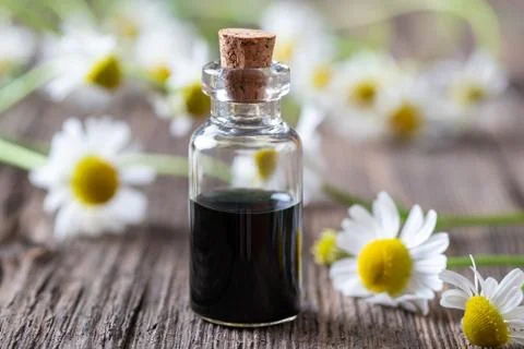 A bottle of dark blue chamomile essential oil and flowers Stock Photos