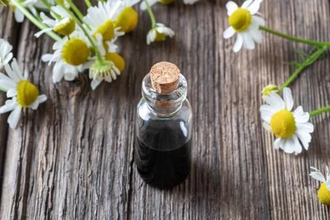 A bottle of dark blue chamomile essential oil and flowers Stock Photos