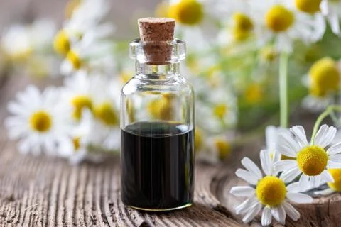 A bottle of dark blue chamomile essential oil and flowers Stock Photos