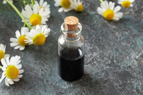 A bottle of dark blue chamomile essential oil and flowers Stock Photos