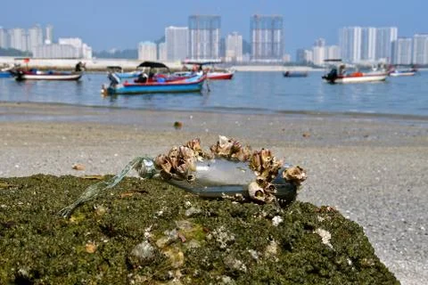 Bottle debris on a beach Stock Photos