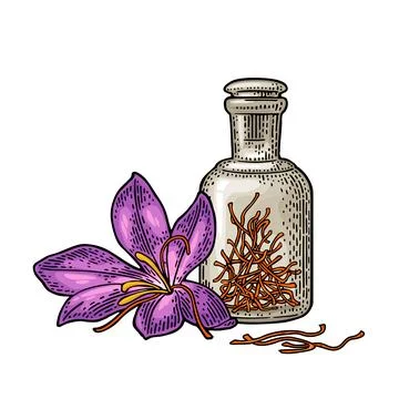 Bottle with dry threads. Saffron flower with stamens. Engraving Stock Illustration