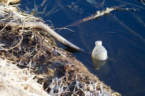Bottle floating in a pond Stock Photos