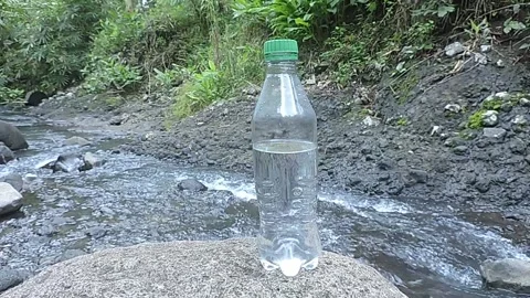 Bottle Stock-Footage 279482022
