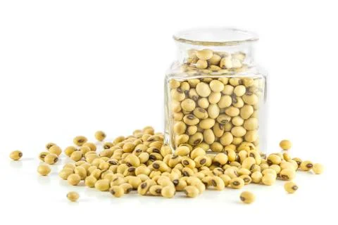 Bottle full of soybeans Stock Photos