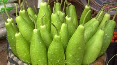 Bottle gourd displayed fresh in a local market captured in bright 4K UHD Stock Footage 320034079