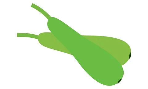 Bottle Gourd Vector Design And Illustration. Stock Illustration