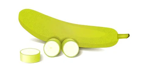 Bottle gourd vegtable Illustrazione stock