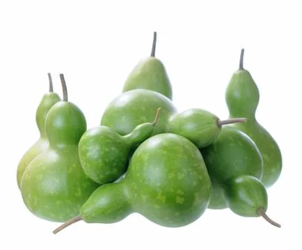 Bottle gourds Stock Photos