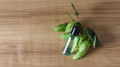 Bottle of green liquid next to hops on wooden surface in a simple setting Stock Photos