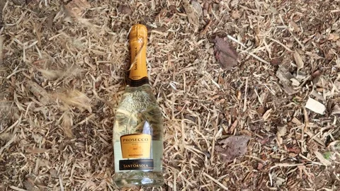 Bottle of Italian Prosecco. Stock Footage 172130996