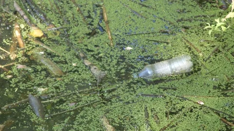 Bottle in the lake 1, trash, pollution Video stock 201675181