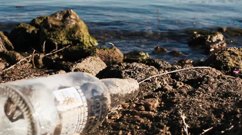 BOTTLE on the lake shore Stockbeeldmateriaal 46949059