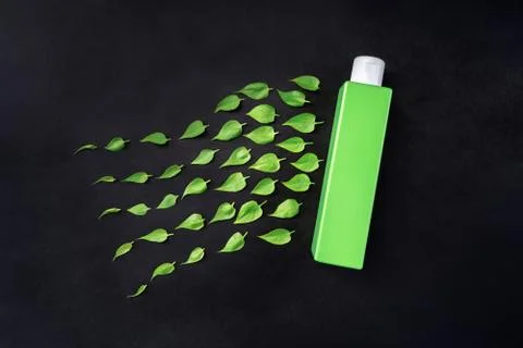 Bottle with leaves on background Stock Photos