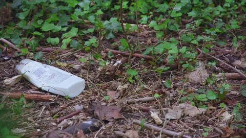 Bottle Littered on Forest Ground Vidéo 75488222