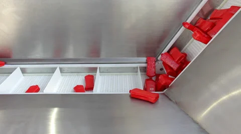 Bottle loader in food processing factory Stock Footage 35909648