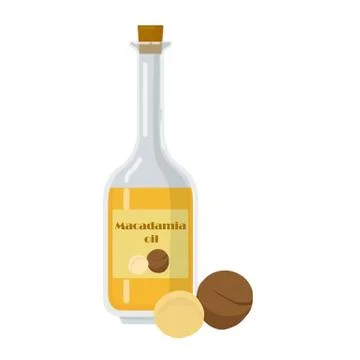 Bottle with macadamia oil and nuts on white background. Stock Illustration