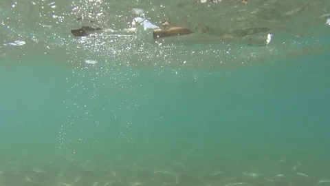 Bottle with a message falls and floats in the sea Stock Footage 72350516