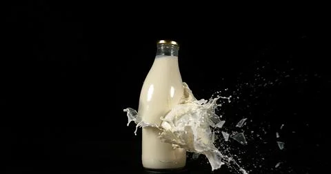 Bottle of Milk Exploding against Black Background Stock Photos
